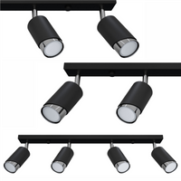 Plafony Bragi czarno - srebrne